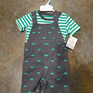 Carter's Green and Gray Outfit Set